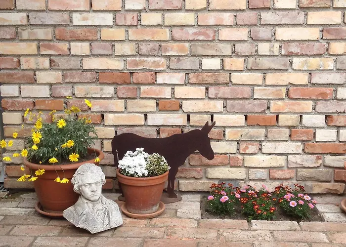 Stilvolle Gaestezimmer Auf Romantischem Pferdehof