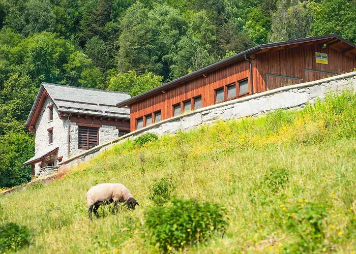 Hotel Belvedere Wellness&Spa