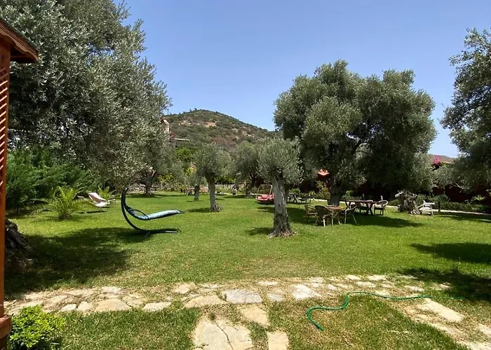 Suzi'nin Bahçesi Bungalov Evler