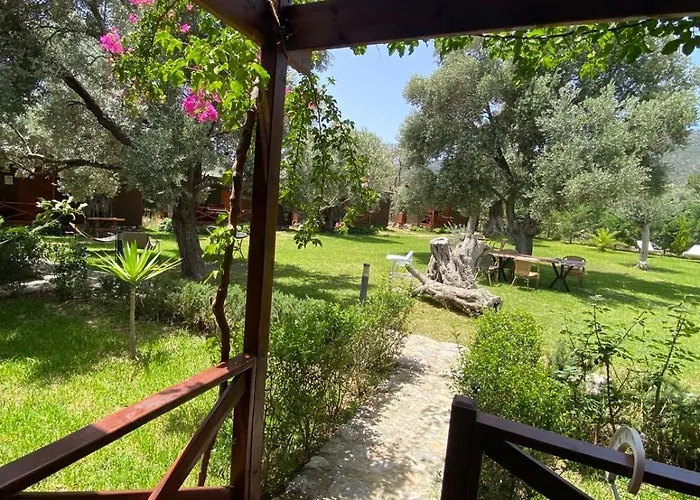 Suzi'nin Bahçesi Bungalov Evler