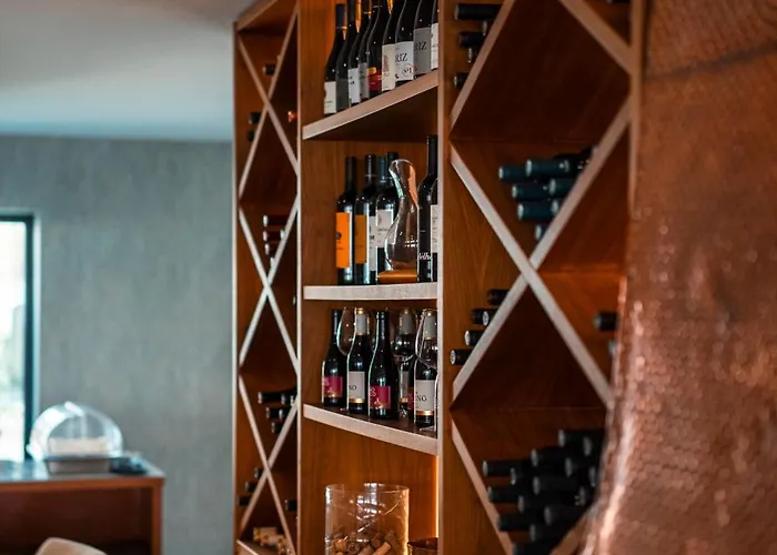 Hotel Vouga