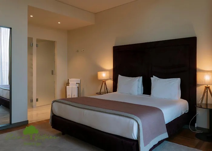 Olive Nature Hotel & Spa - Quinta Valle De Passos