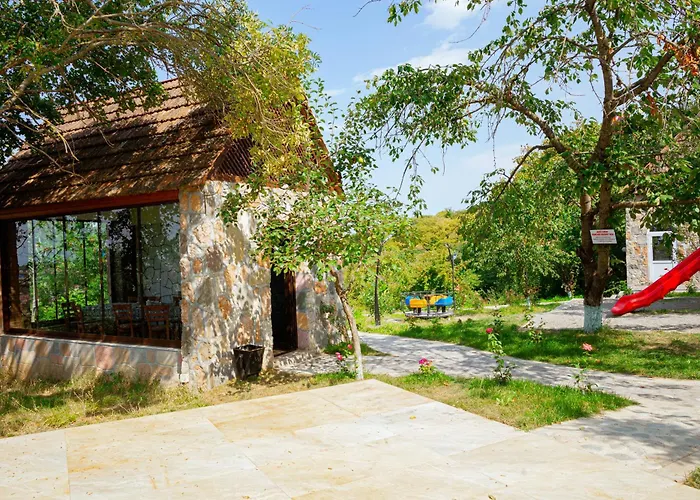 Qachaquch Forest