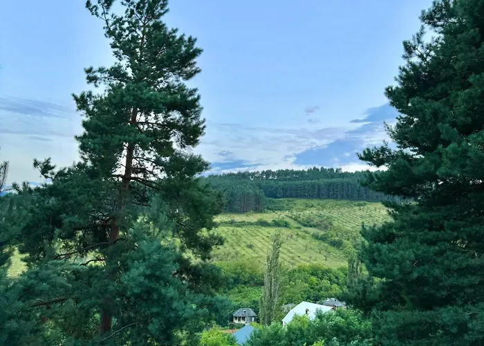 Evergreen Surami Hotel