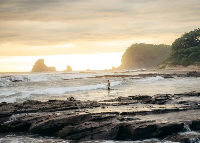 Buena Vista Surf Club
