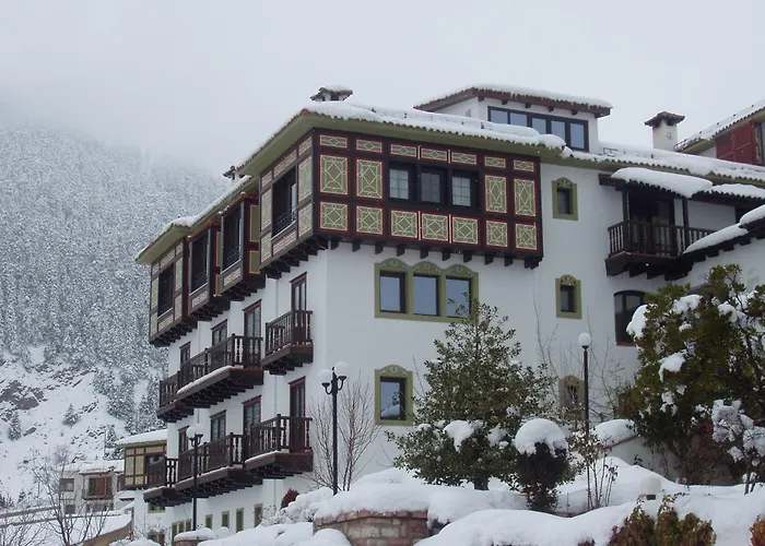 Hotel Spa Montana