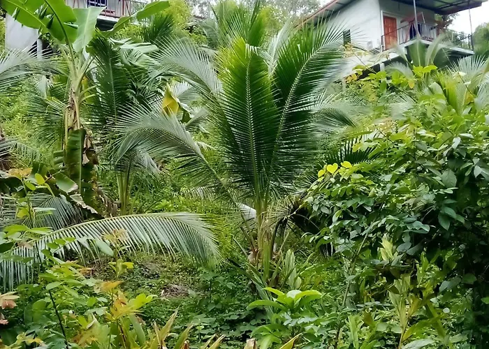 Hubkhao Resort