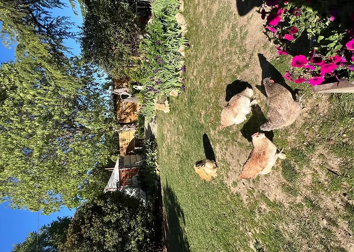 Bastide du Bonheur Saint Donat