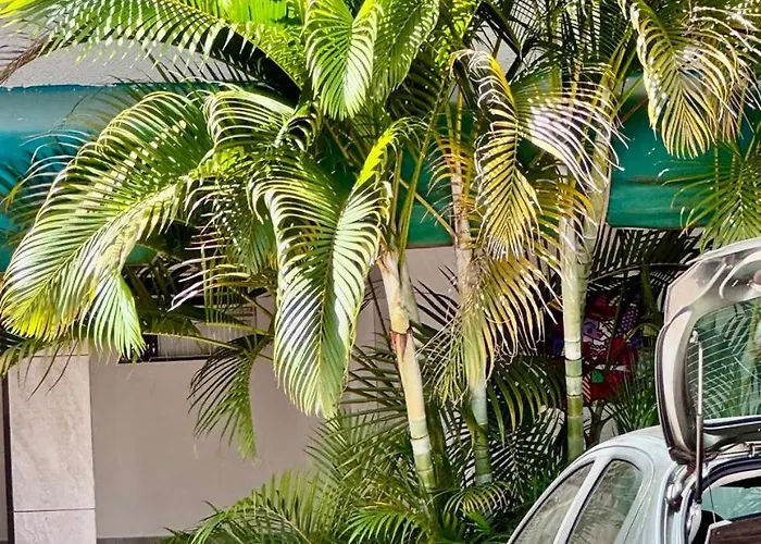 Hotel Coqueiros