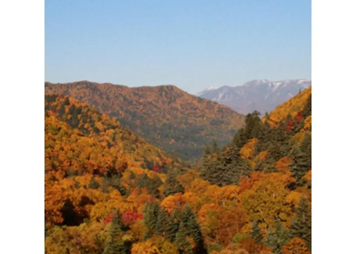 Mount View Hotel - Vacation Stay 40142V