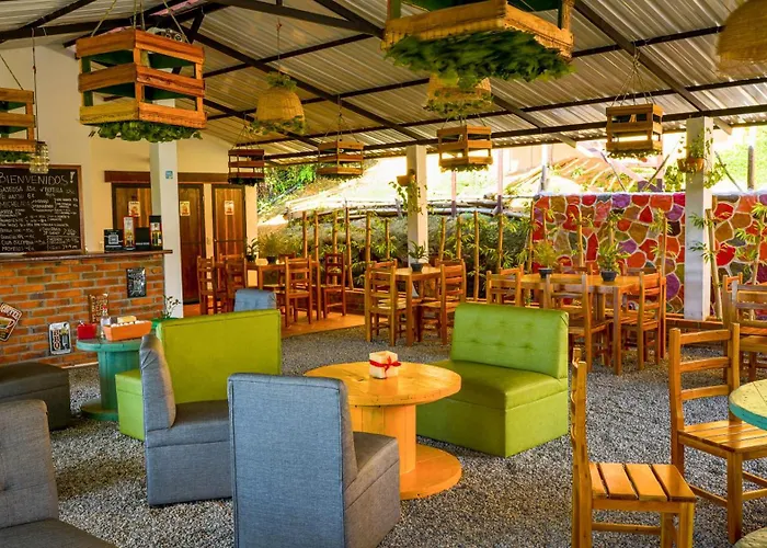 Ecodreamers Curiti