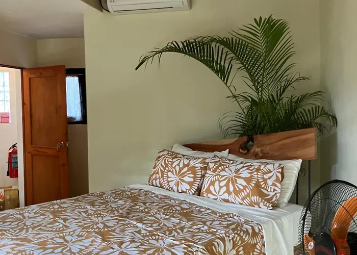 Yes Papa! Rooms Only 100M From The Beach!