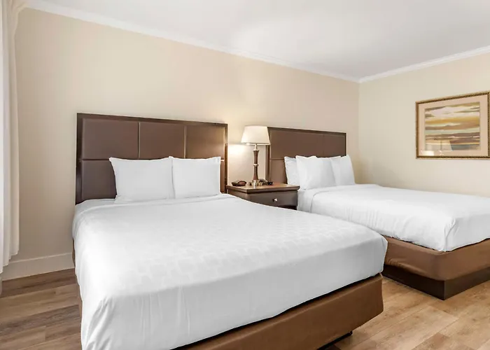 Best Western Carmel'S Town House Lodge