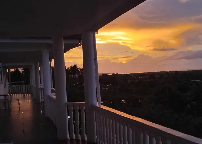 Best View Apartments