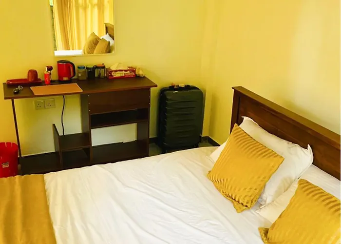 Dhighayu Ayurvedic Wellness Resort