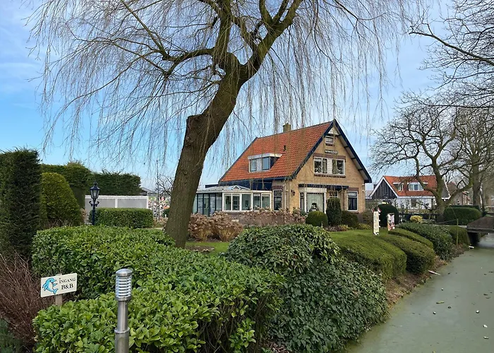 B&B Dol - Fijn