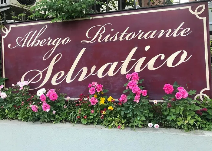 Albergo Selvatico