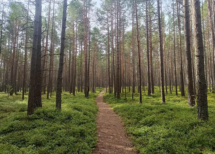 Kemeri Hotel In National Park - Free Parking