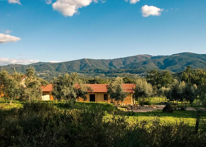 Quinta-Lina De Serpins