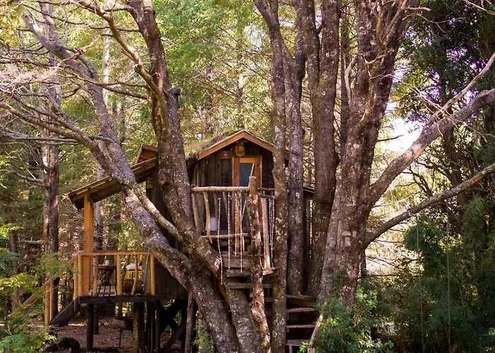 Pucón Volcano Forest SPA