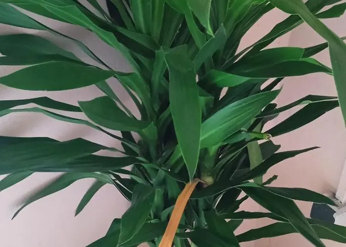 Auberge De L'Hippocampe