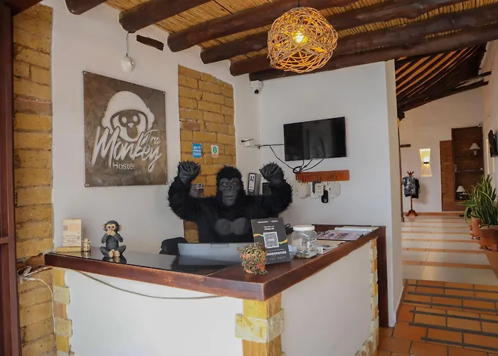 Trip Monkey Origen