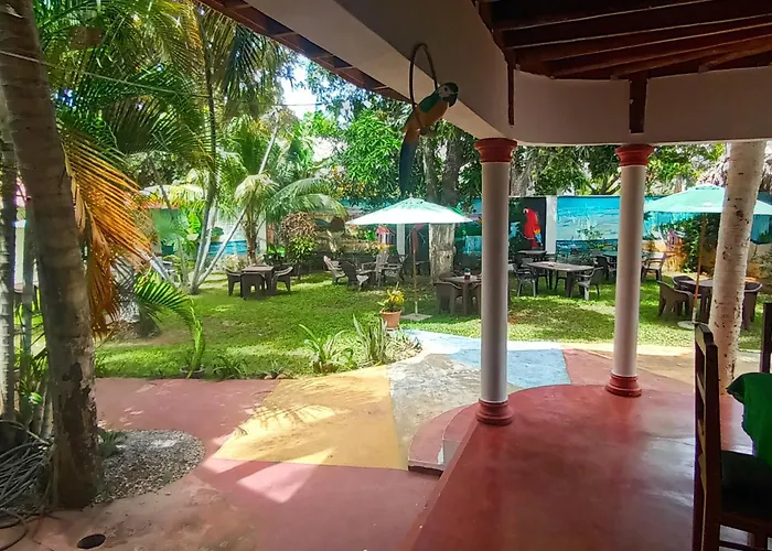 El jardín del coco