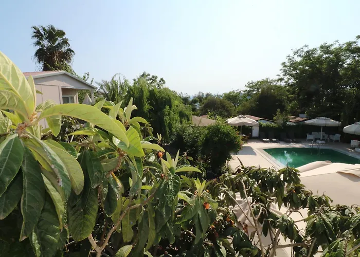 Paradise Garden Apartments