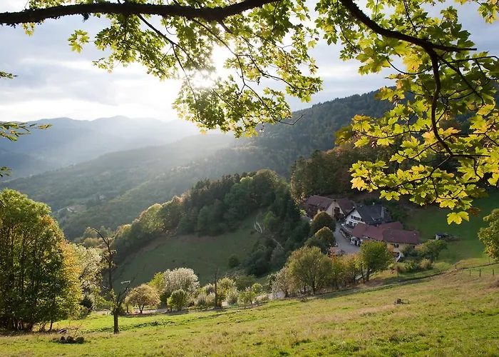 Logis Hotel-Restaurant Auberge Du Mehrbachel