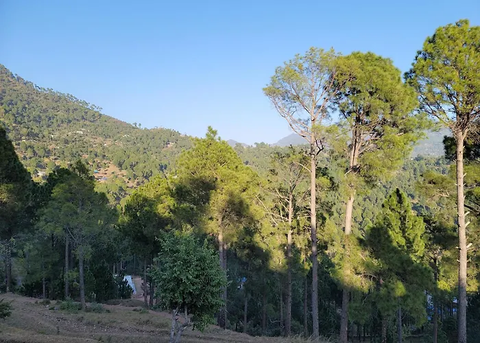 Galaxy Hill Resorts Murree, Residence Inn Ghr9320
