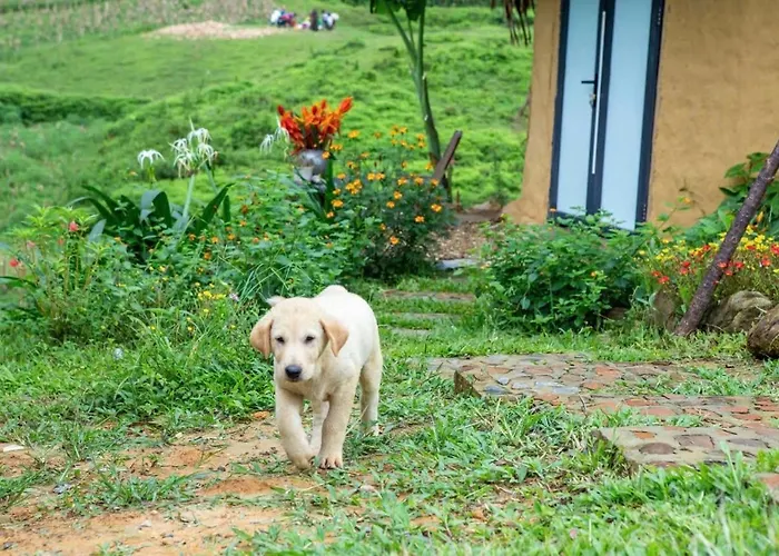 Tớ Dày Du Già Village