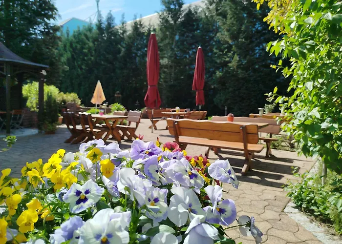 Cafe Und Hotel Zum Gruenen Baum