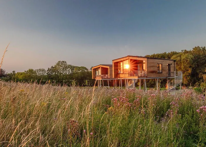 Ostsee Baumhaushotel - Auf Höhe der Baumkronen