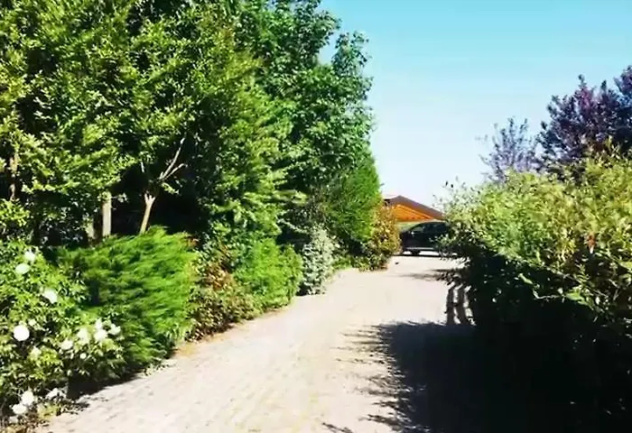 La Casa nel bosco
