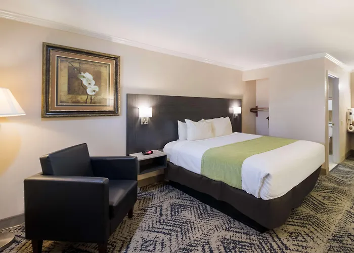 Surestay Hotel By Best Western Rockdale