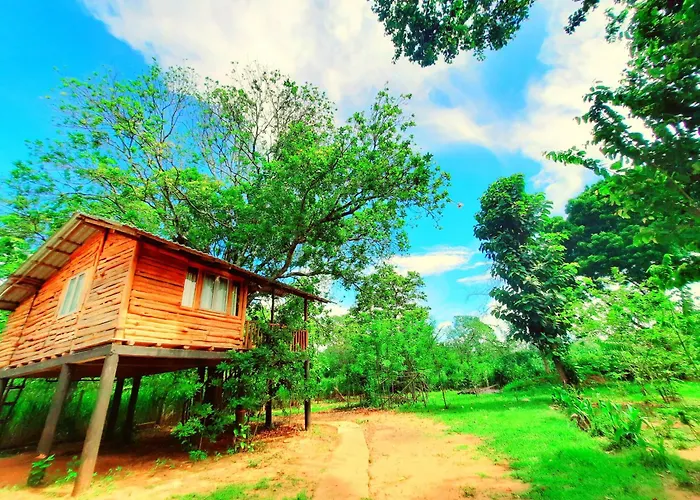 Tree House 4 Nature Lovers
