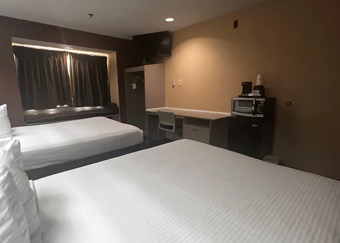 Microtel Inn & Suites By Wyndham Houston