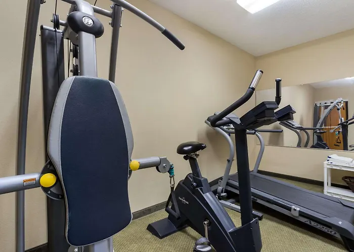 Quality Inn & Suites Pearl-Jackson