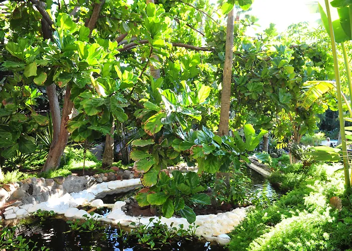 Hotel Parque Tropical