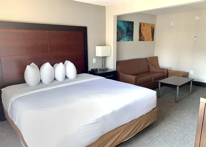 Wingate By Wyndham Atlanta Galleria/ Ballpark