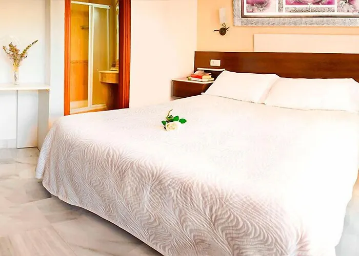 Hotel Albero
