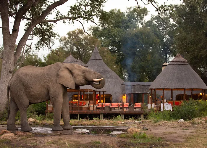 Hoyo Hoyo Safari Lodge