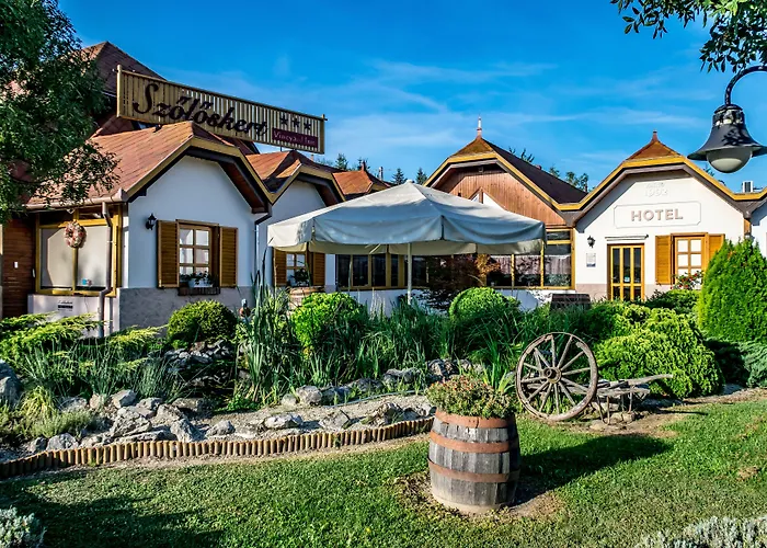 Hotel Vineyard Inn - Szoloskert