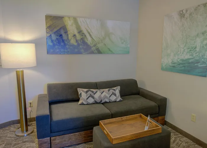 Springhill Suites By Marriott Macon
