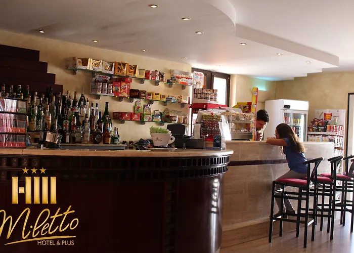 Hotel Miletto