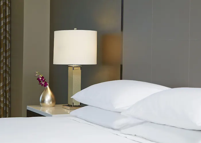 Hyatt Regency Atlanta Perimeter At Villa Christina
