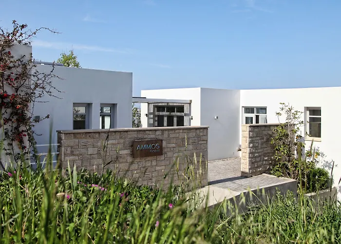 Skyros Ammos Hotel
