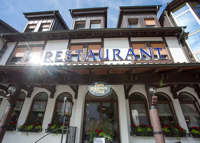 Hotel&Restaurant Goldener Pflug