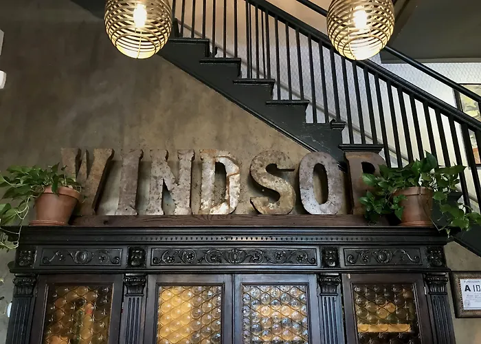 The Windsor - Asheville