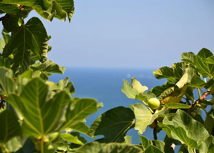 Blue Island Villa Caterina